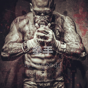 拳手 freebeat 免费