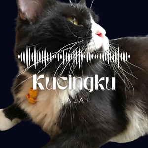 Kucingku