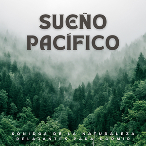 Sinfonía Del Silencio