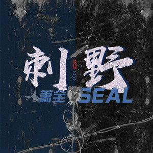 刺野 (DJ默涵版)