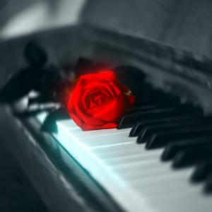 Bir Yalandı Bizimkisi