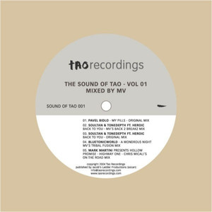 A Wondrous Night (MV's Tribal Fusion Mix)