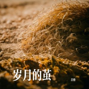 岁月的茧 伴奏
