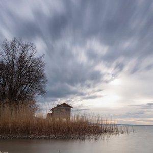 拥抱我，成为我的第二颗心脏