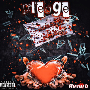 Pledge