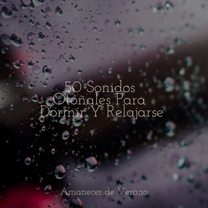 Melodías del sendero místico