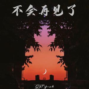 不会再见了
