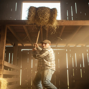 Joshua Wayne Holmes Jr The Best Friend You Could Ever Have (Demo)