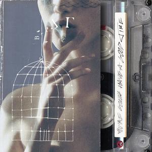 Nothing's Fair in Love and War