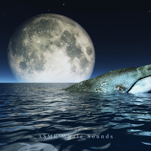 Nature Sounds – Whales
