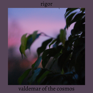 Rigor