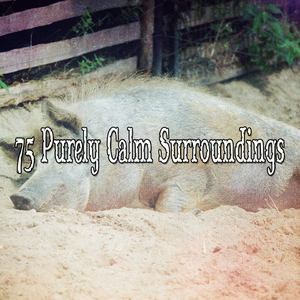 Soaring High with Hope