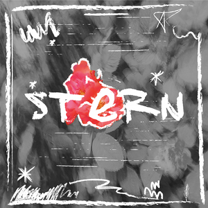 STERN