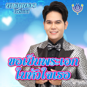 ขอเป็นพระเอกในหัวใจเธอ