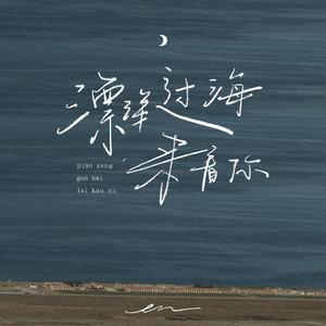 漂洋过海来看你