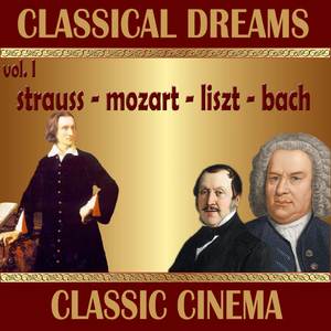 Brandenburg Concerto No. 5 in D Major, BWV 1050: I. Allegro