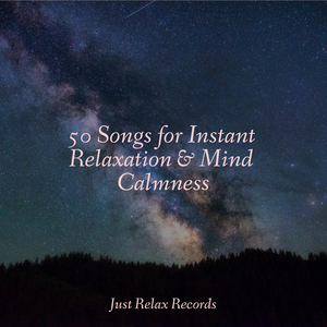 Whispers of a Dreaming Dove