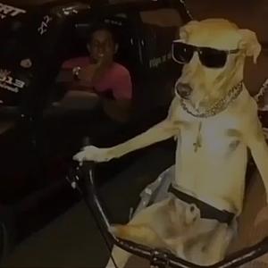 Sweet lady (feat. Frlwick & HawkEm)