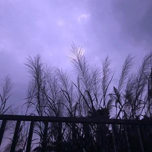 治愈至于止于致郁吗