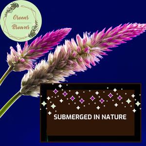 Creative Summer Night Fire Sounds