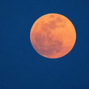 杀死那个石家庄人(cover万能青年旅店)