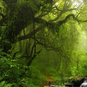 好不喜欢1675150049491