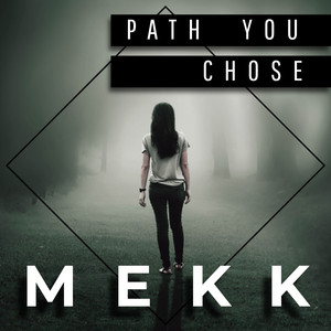 Path You Chose