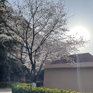 밤바람