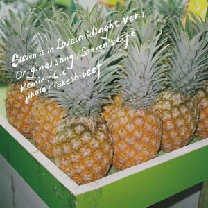 Steven's Life-Steven is in Love (midinight ver.)（Steven's Life / C.c remix）