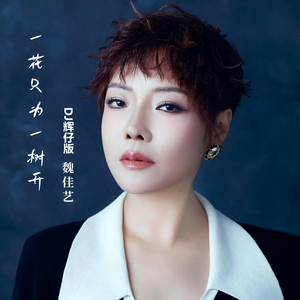 一花只为一树开 (Dj版)