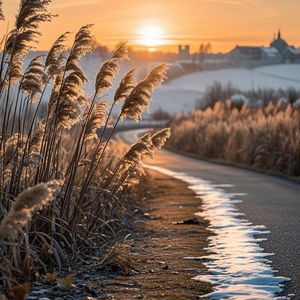 小镇雨中人的独思