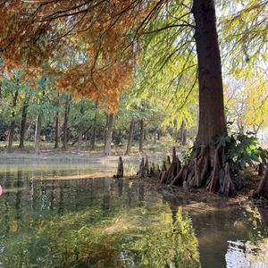那不是我的月亮