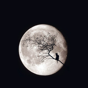 你不是真正的快乐