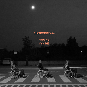 Meester van een Wortel (intro)