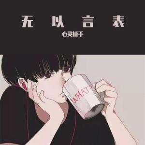 无以言表