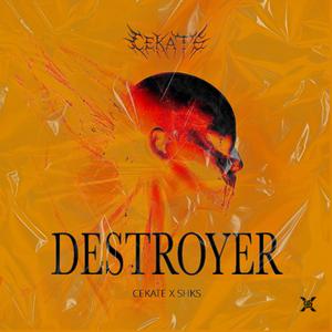 DESTROYER (feat. SHKS)