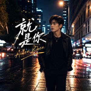 就是你（Aiden Zhen)