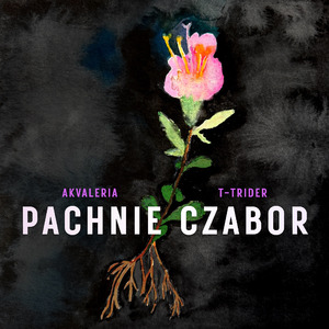 Pachnie Czabor