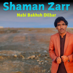 Shanoni Zindagi