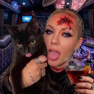 Cats in Court (mash up)