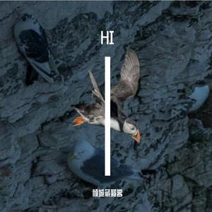夜之宁静