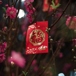 May All Your Wishes Come True