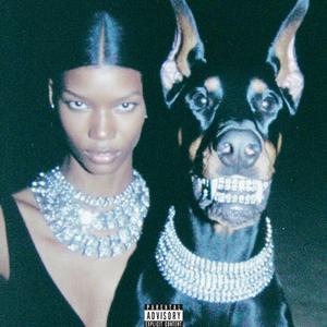 Dogg