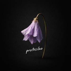 protesilao