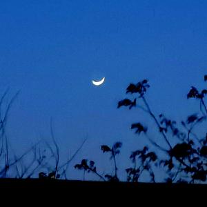 20220404_134919 [高质量]