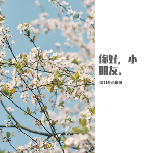 걱정말아요 그대（翻自 野菊花）