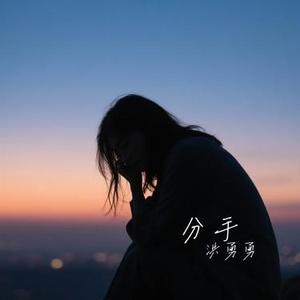 风雨正道 (Cover 小阿枫)