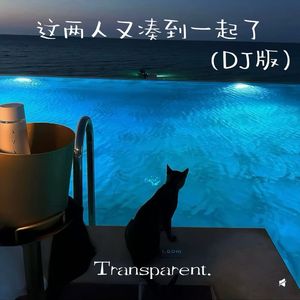 这两人又凑到一起了(DJ版)
