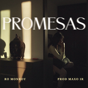 Promesas