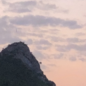 心心念念的人是_____